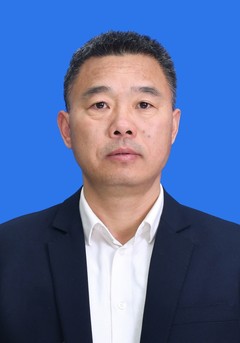 区委常委区政府副区长李青