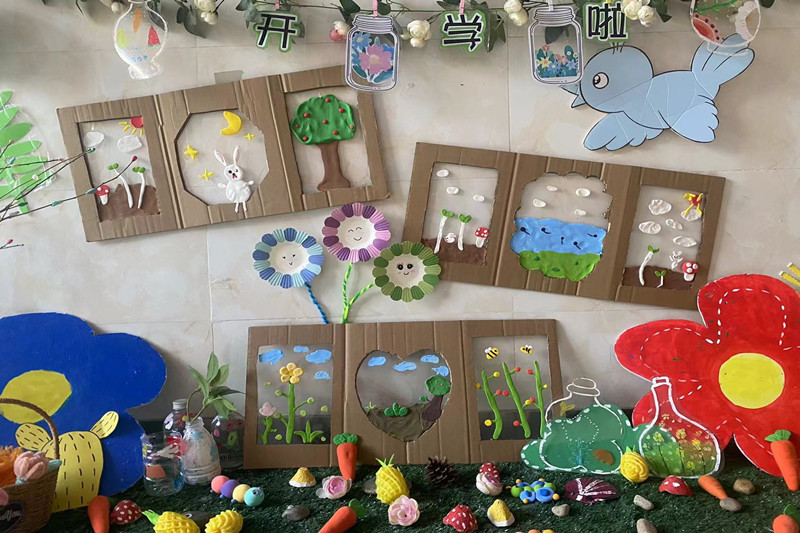 行知幼儿园开展"植此青绿"植物角环创活动_蚌埠市龙子湖区人民政府