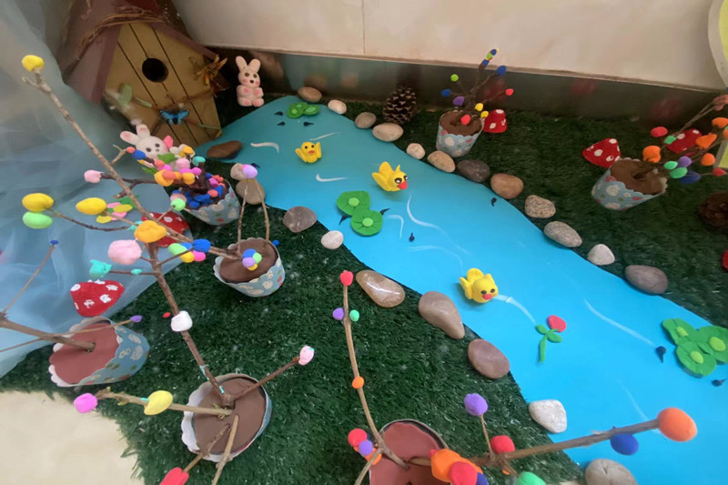 行知幼儿园开展"植此青绿"植物角环创活动_蚌埠市龙子湖区人民政府